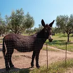 Holiday home Tra Mari E Monti By Barbarhouse San Giovanni Rotondo