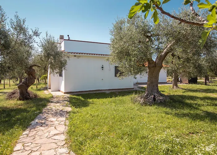 Tra Mari E Monti By Barbarhouse サン・ジョバンニ・ロトンド