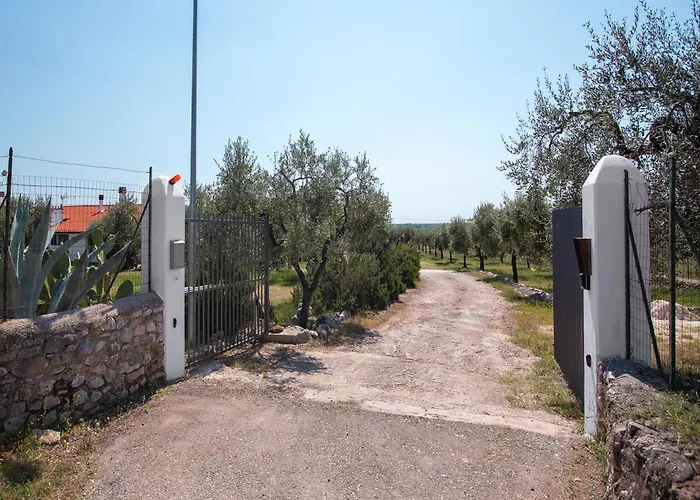 Tra Mari E Monti By Barbarhouse * サン・ジョバンニ・ロトンド